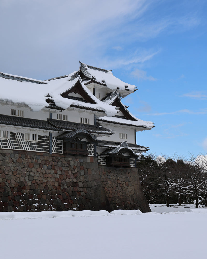 Japan Winter Trip Blog